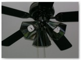 Fan light shades