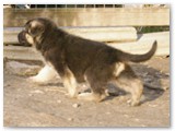 April 2011 - 5 weeks