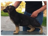May 2011 - 7 weeks