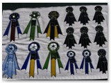 Specialty ribbon prizes