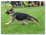 June 2011 - 13 weeks