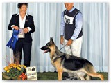 September 2008
1st 12-18 with George Berstler
Judge - Gloria Birch
