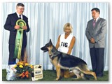 September 2008
Select 9 with Linda Bankhead
Judge - Dan Dwier