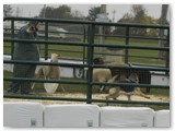 October2009
HIC