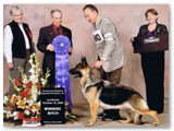 October 2009
Winners Bitch with George Berstler
Judge - Lee Brown