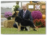 October 2009
Handler - Jamie Clute