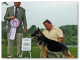 June 2010
Reserve Best in Futurity with Ron Peet
Judge - Alan Wood